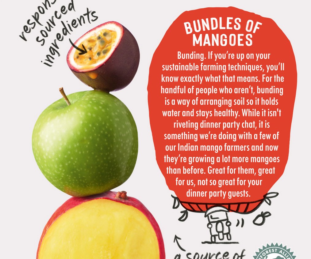 a back of pack story for an innocent smoothie